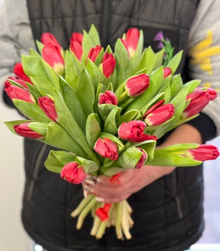 Купить букет из красных тюльпанов "Сабрина" с доставкой по Атлашево